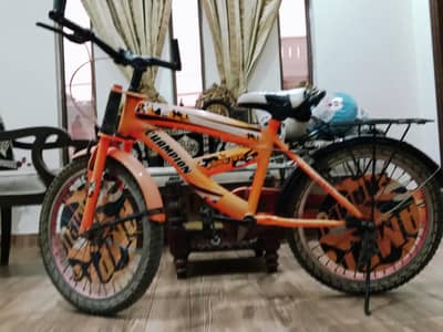 Bicycle For Children