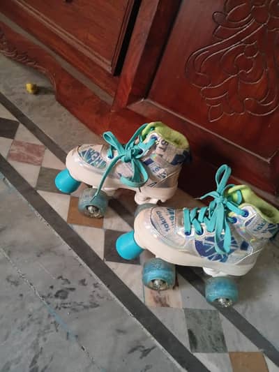 imported branded Scatting Shoes just used less than 3 weeks