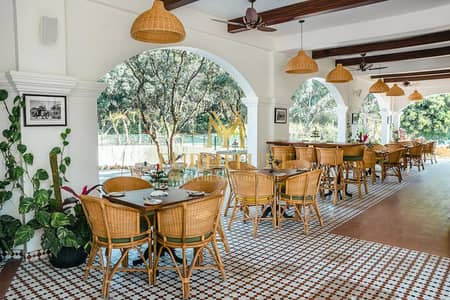 Cafe Furniture / Hotel Furniture / Restaurant Furniture / Manufacture