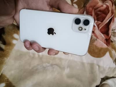 iPhone 11 – 128GB – Excellent Condition – Water Pack