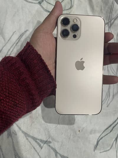 Iphone 12 Pro Max PTA Approved 256Gb