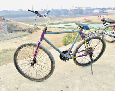  Phonexe Cycle – XL – Excellent – 15% OFF limited time offer 