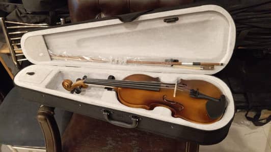 High volt 4/4 full size violin | Rosewood | Hard case | bow