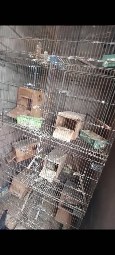 Cage 1.5 by 3   &  2/1.5