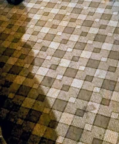 room carpet with foam only few months used