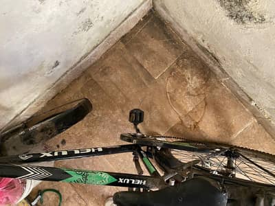 Deluxe company bicycle  for sale