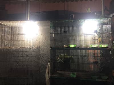 Master Cage for sale