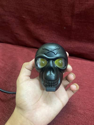 Fancy Skeleton Headlight