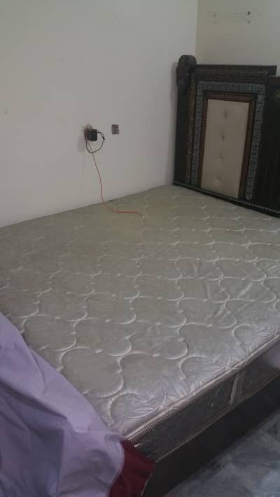 Master Molty foam clesta Spring mattress