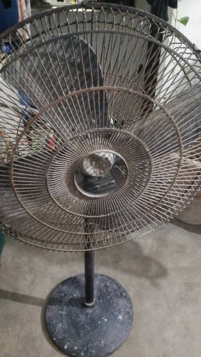 Pedestal fan