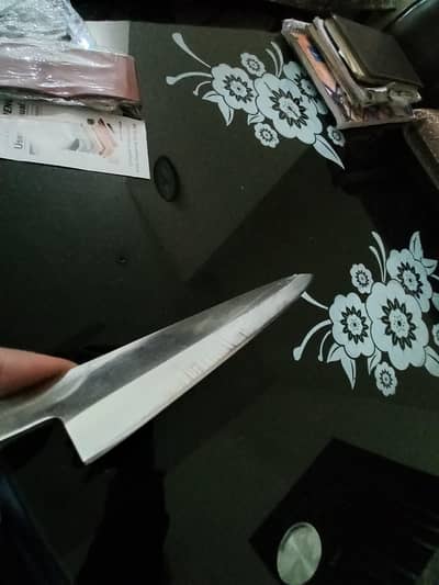 Japanese Single Bavel Chef knife (Yanagiba)