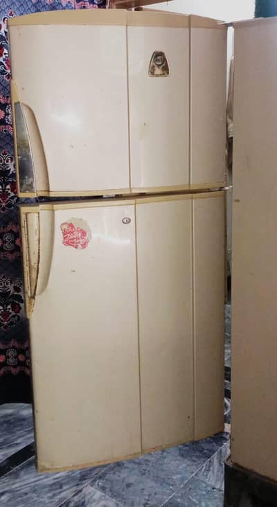 Pel Fridge Medium Size 6