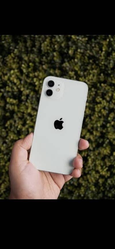 I phone 12
