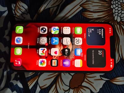 12 pro max LLA model