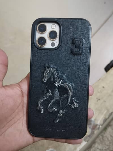 12 pro max non pta FU