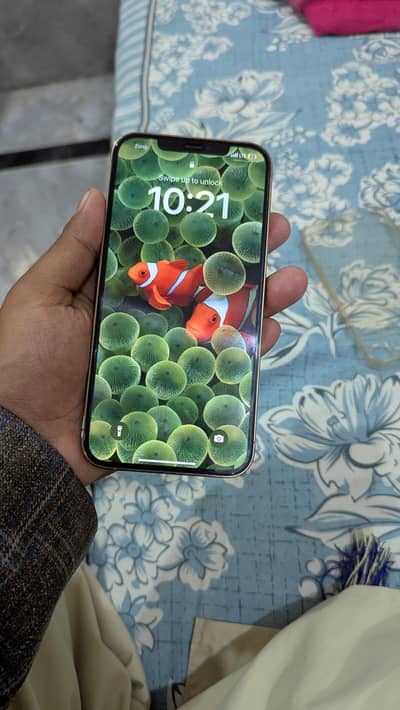 12 pro max pta approved dual physical