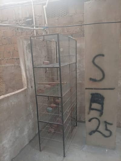 birds cage