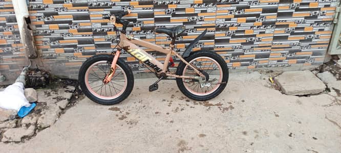 cycle whatshap no 0330+125+9905