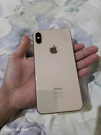 Apple iPhone XS Max 10 by 10