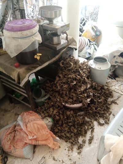 oil pressing machine