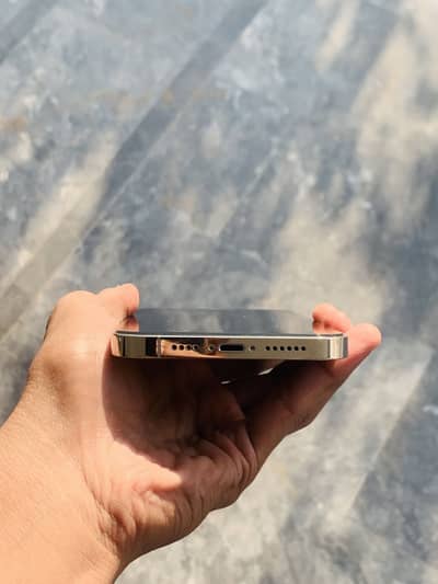 Iphone 12 pro max 256 gb factory unlock