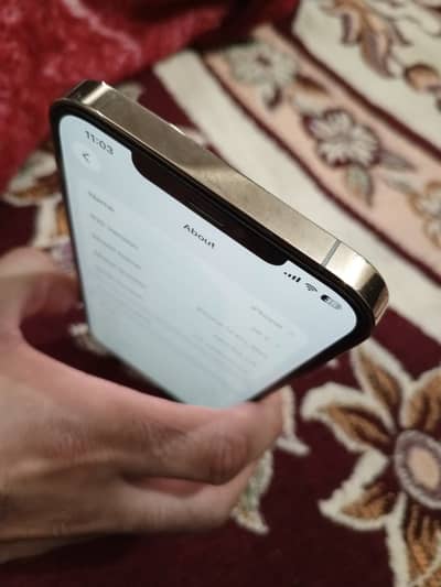 Apple iPhone 12 Pro Max