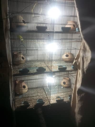 cage for sale