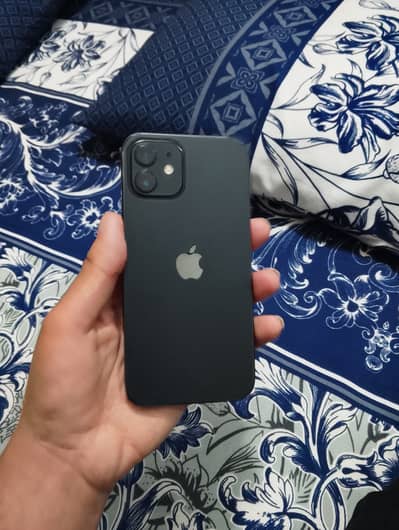 Iphone 12 Pta Approved