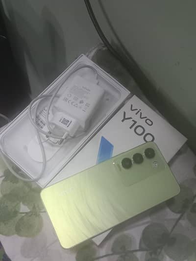 vivo y100 8+8 256gb
