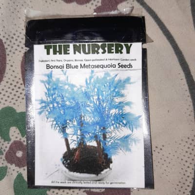 bonsai blue metasequaio