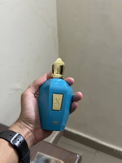 Erba Pura by Xerjoff - 100ML (with box)