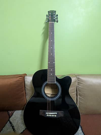 Brand New Professional Guitar with bag