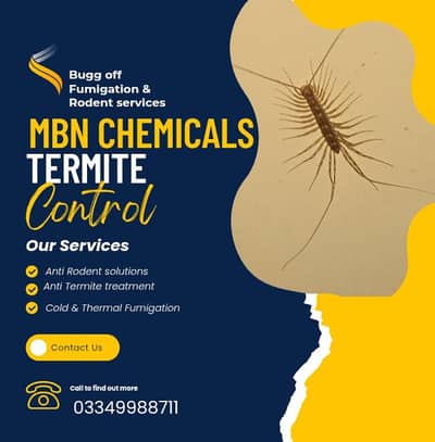 Termite Fumigation Rodent Services