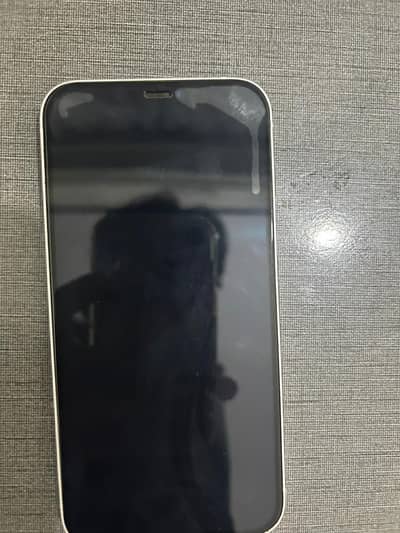 Iphone 12 pta approved