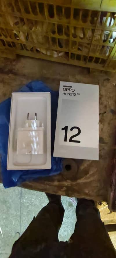 Reno 12 5g pta approved with box and original chrgr