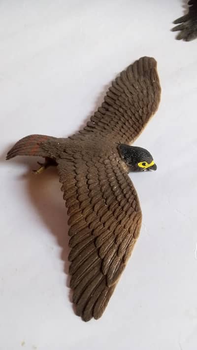 realistic  figurines of various birds of prey.