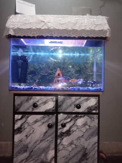 Aquarium or fish doga table Nahin doga