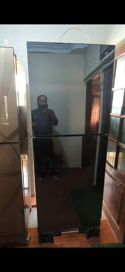 full size glass door pel 160 GD