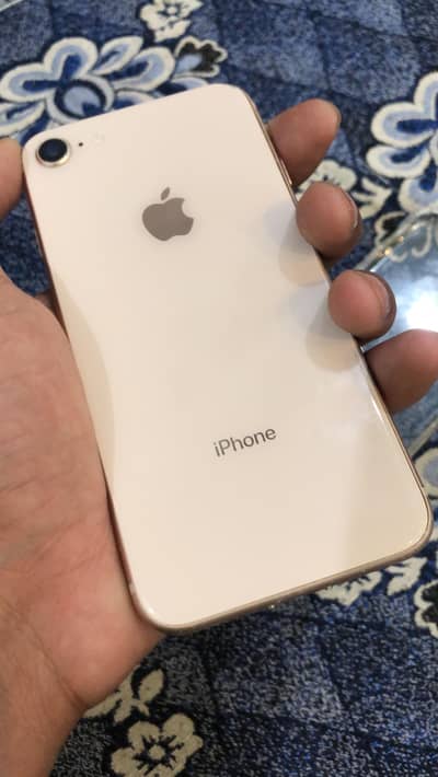 03181537452 contact Whatsapp kami peshi ho jay gi