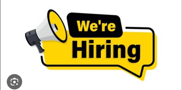 Hiring Content Writer and Web Developer