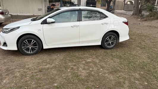 Grendee 2020 model total geniune