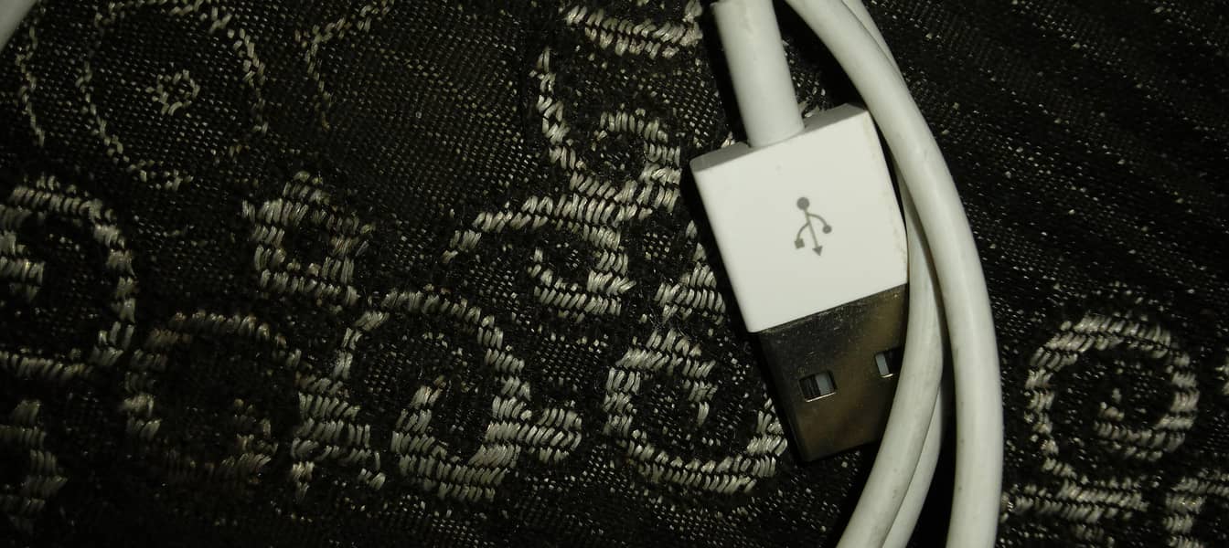 iPhone Charging Cable 2