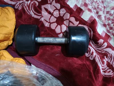 Dumbbell single available 03125736397