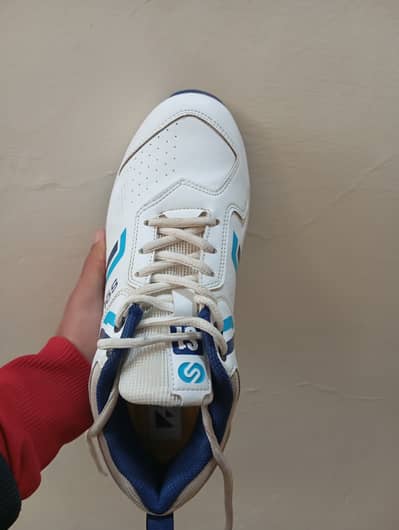 Cricket gripper shoes