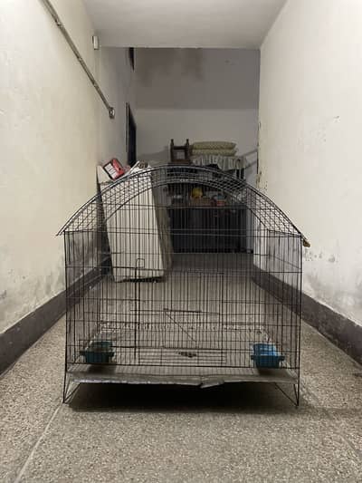 Birds cage