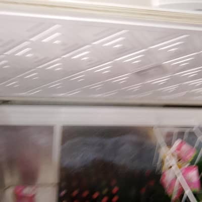 Waves company frezer for sel