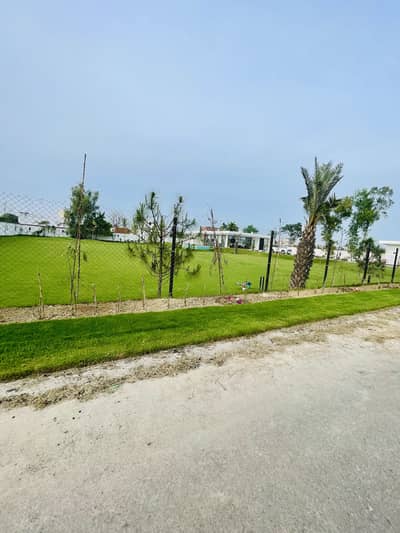 8 Kanal Land For Sale