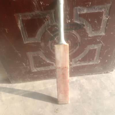 cricket bat