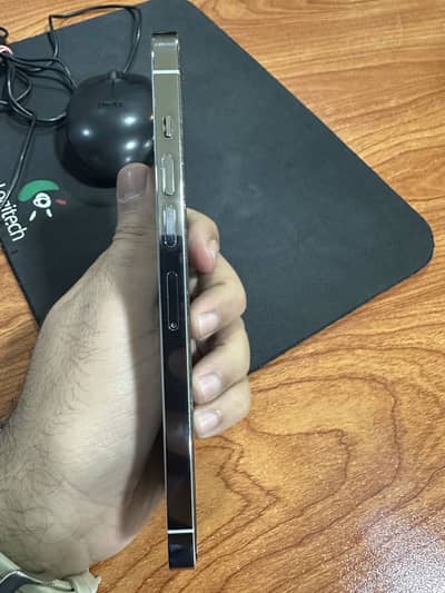 Iphone 13 pro max pta approved