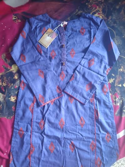 Eden Robe kurti